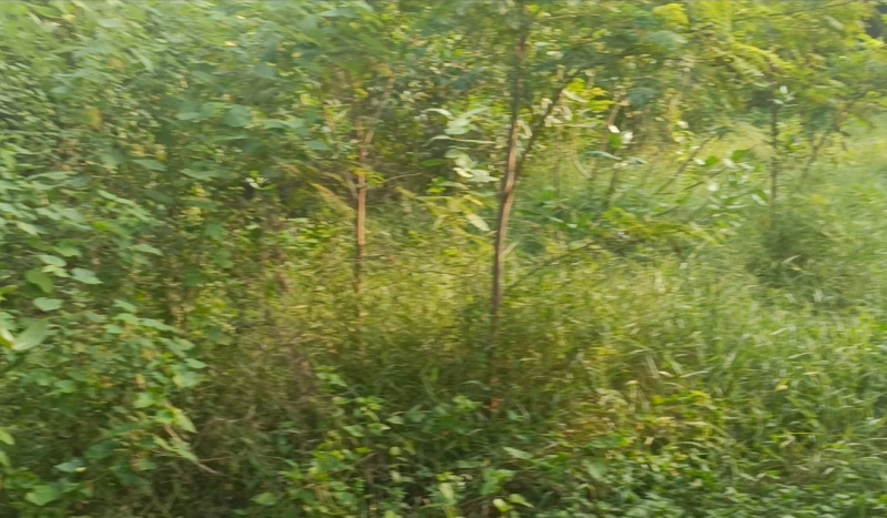 Additional image 3 of Akkarai, Chennai