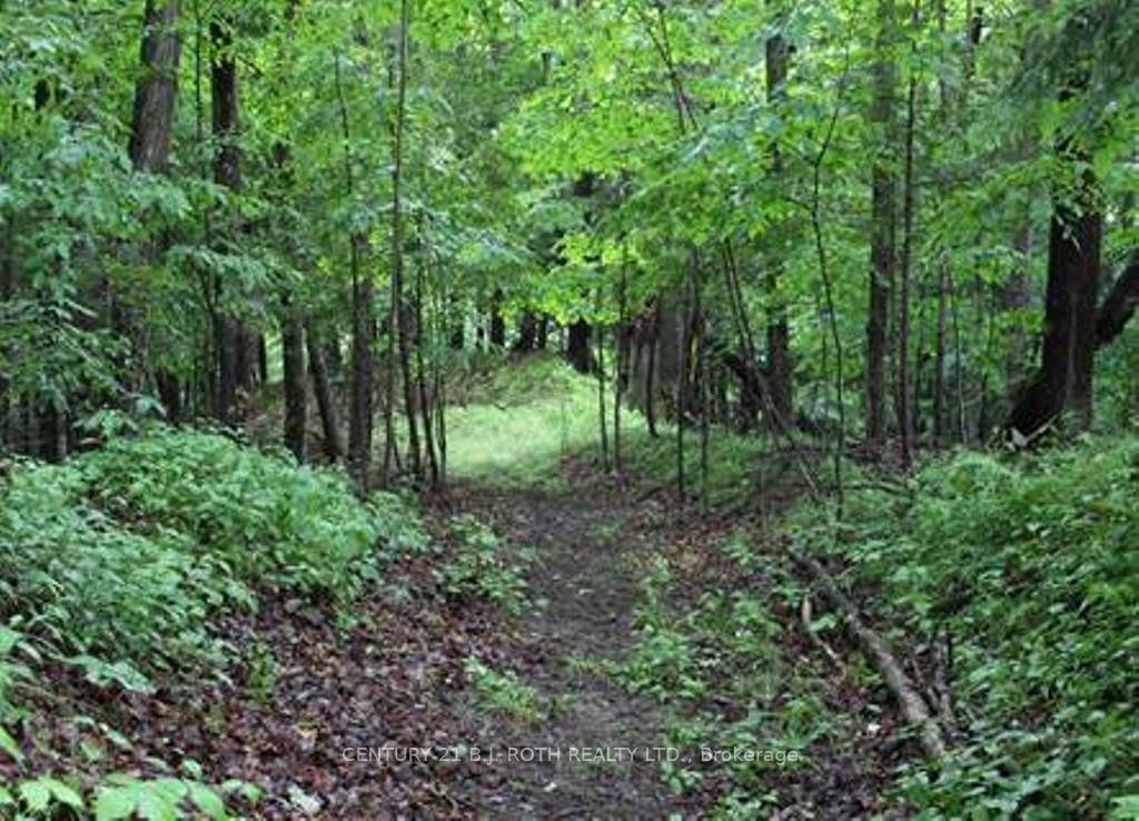 Additional image 5 of 7 Fern Lane, Essa, ON, L0M 1T0