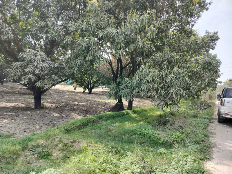 Additional image 2 of Biharigarh, Dehradun