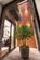 Additional image 20 of Lonsdale Road, London, W11
