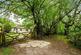 Additional image 5 of Beech Walk, Gittisham, Honiton