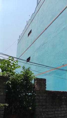 Additional image 2 of Mango, Jamshedpur