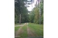 Additional image 26 of 52 Wilson Bay Rd, Ticonderoga, NY, 12883