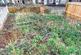 Additional image 11 of The Croft, Neath SA10