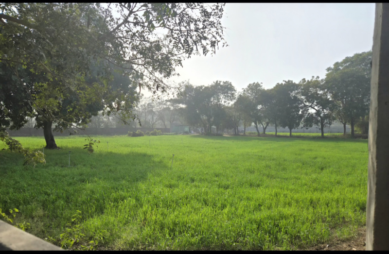 Additional image 3 of Badshahpur, Gurgaon