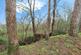Additional image 21 of Winds Point, Hagley, Stourbridge