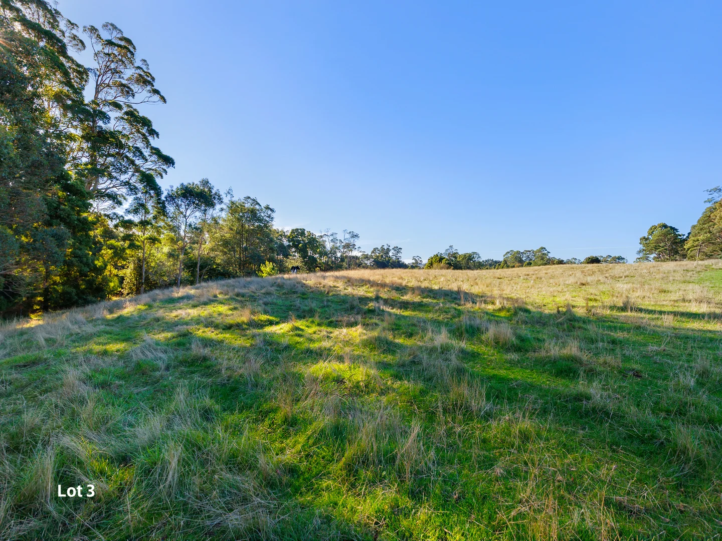 Additional image 21 of Wynyard TAS 7325