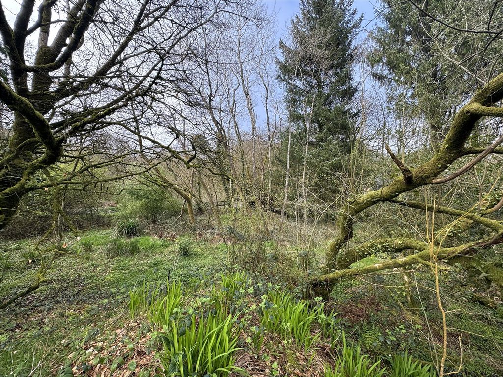 Additional image 12 of Land for saleBradworthy, Holsworthy, Devon EX22