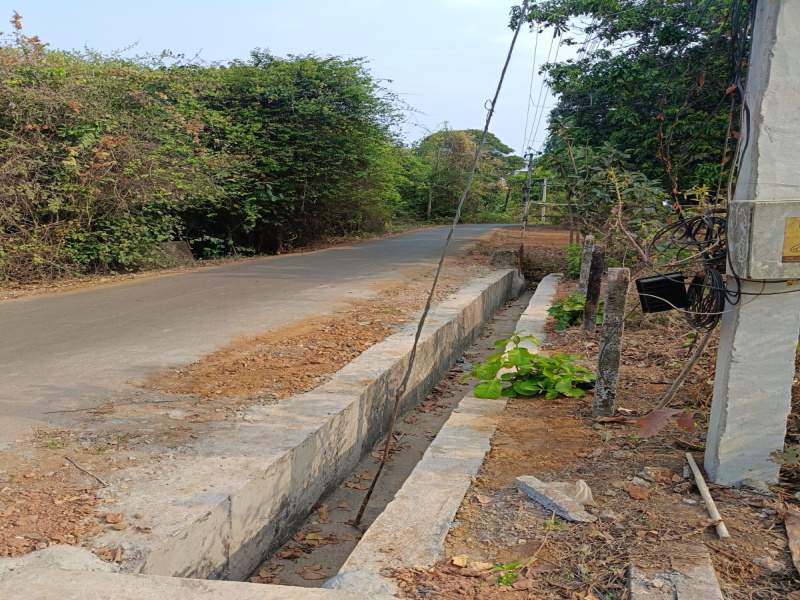 Additional image 2 of Colva, South Goa, Goa