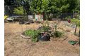 36000 Nash Mill Rd, Philo, CA, 95466 photo 3
