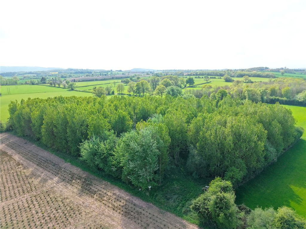 Land for saleBishops Frome, Worcester, Herefordshire WR6
