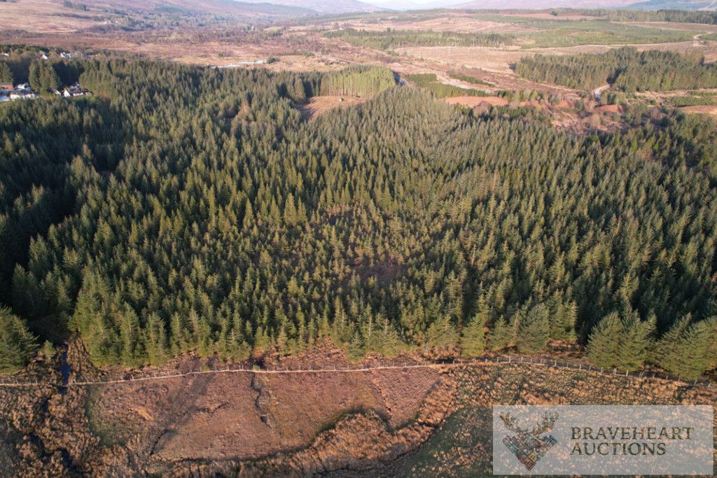 Additional image 5 of Land for saleNorth Face 1, Spean Bridge, Highland PH34