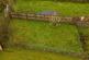 Additional image 52 of Elizabeth Row, Talywain, NP4