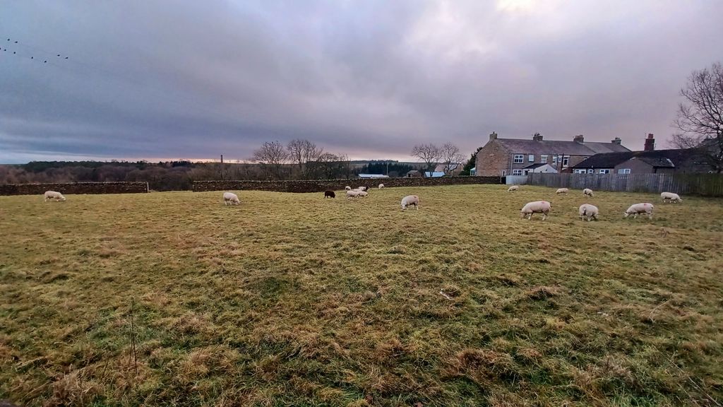 Additional image 30 of 2 bed terraced house for saleCopley, Bishop Auckland, County Durham DL13