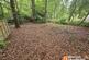 Additional image 2 of Newstead Abbey Park - Land