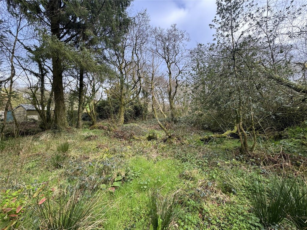 Additional image 11 of Land for saleBradworthy, Holsworthy, Devon EX22