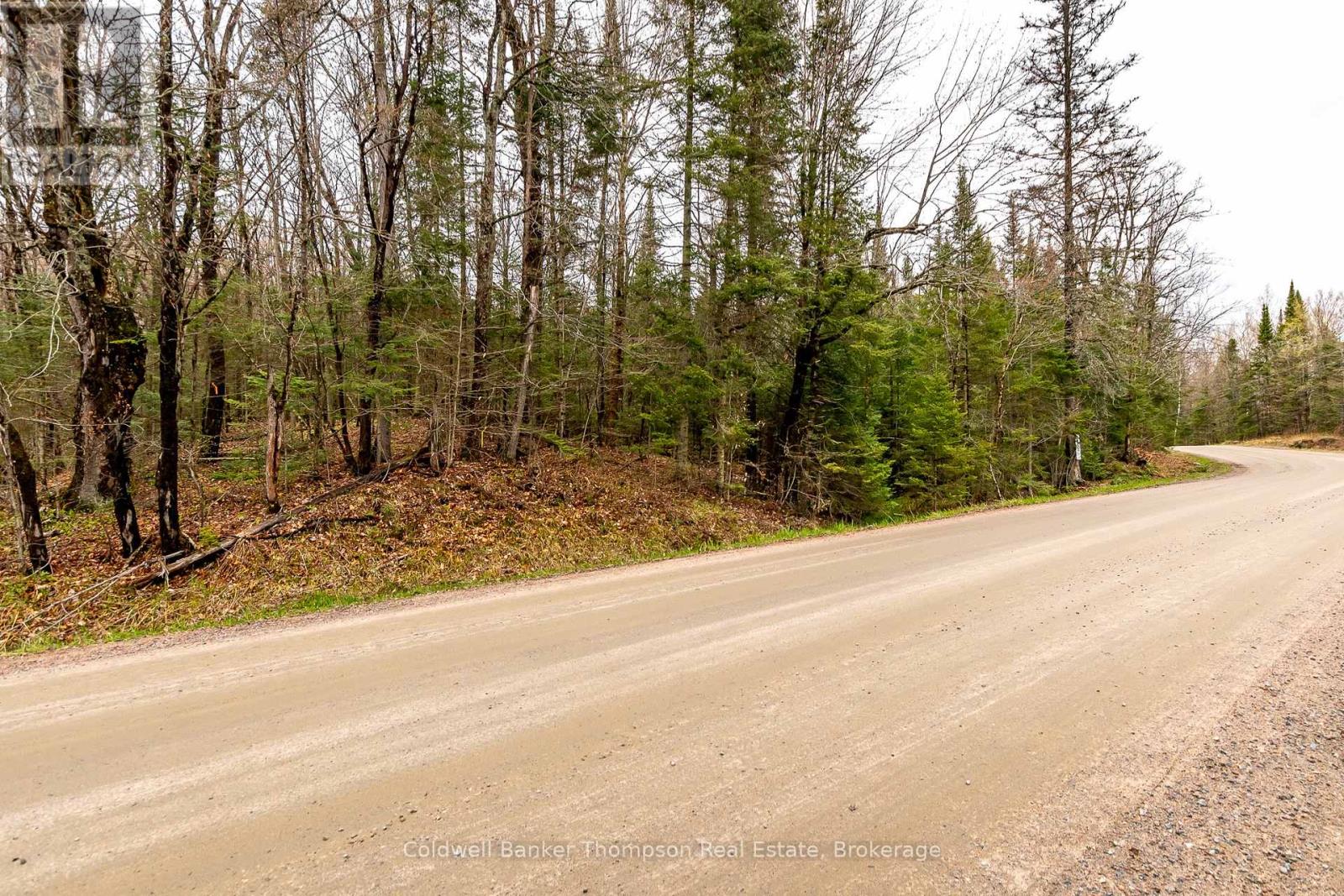 LOT 1 SOUTH HORN LAKE ROAD