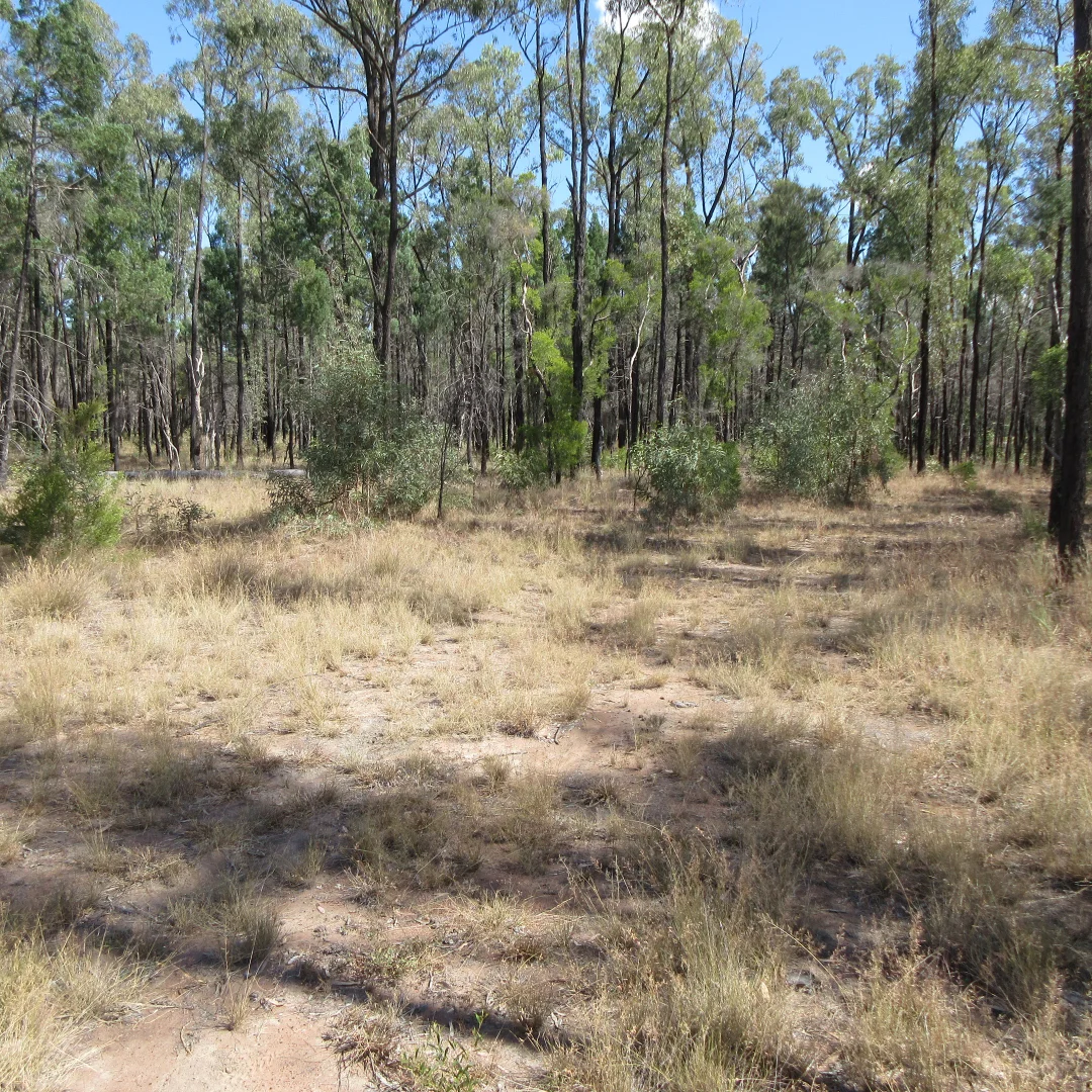 Additional image 7 of Tara QLD 4421