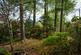 Additional image 18 of Ardgour, Fort William, Highland, PH33