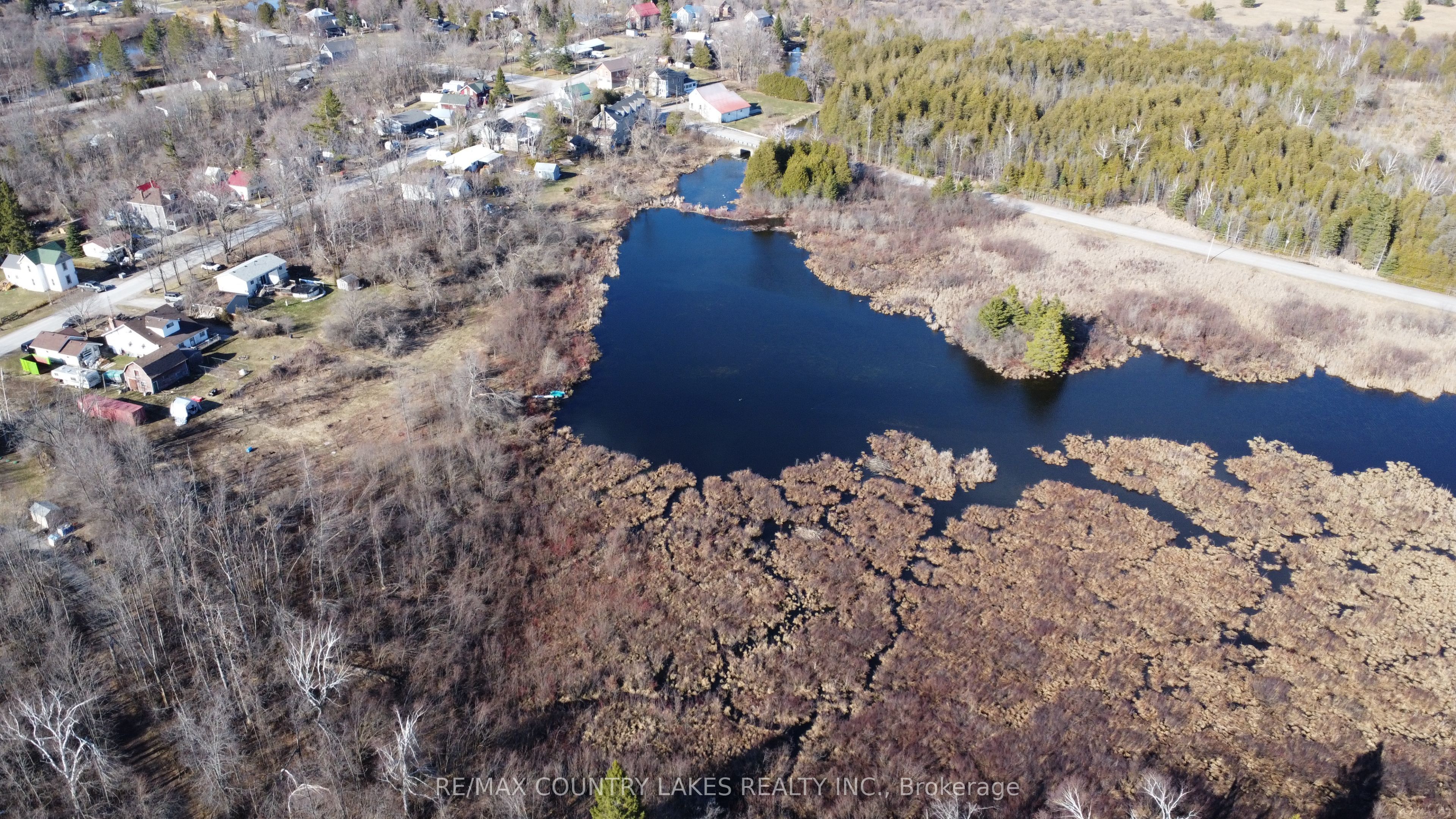 Additional image 4 of Lt 5 Victoria Road, Kawartha Lakes, ON, K0M 2B0