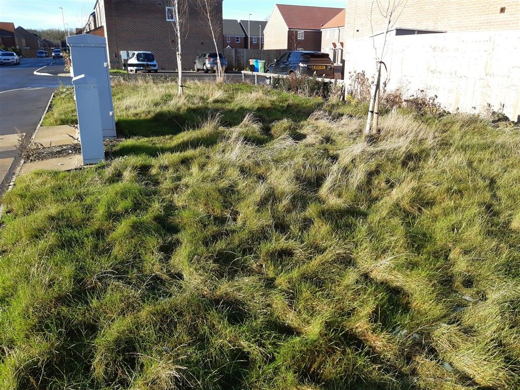 Additional image 4 of Land for saleLowe Place, Anlaby, Hull HU10