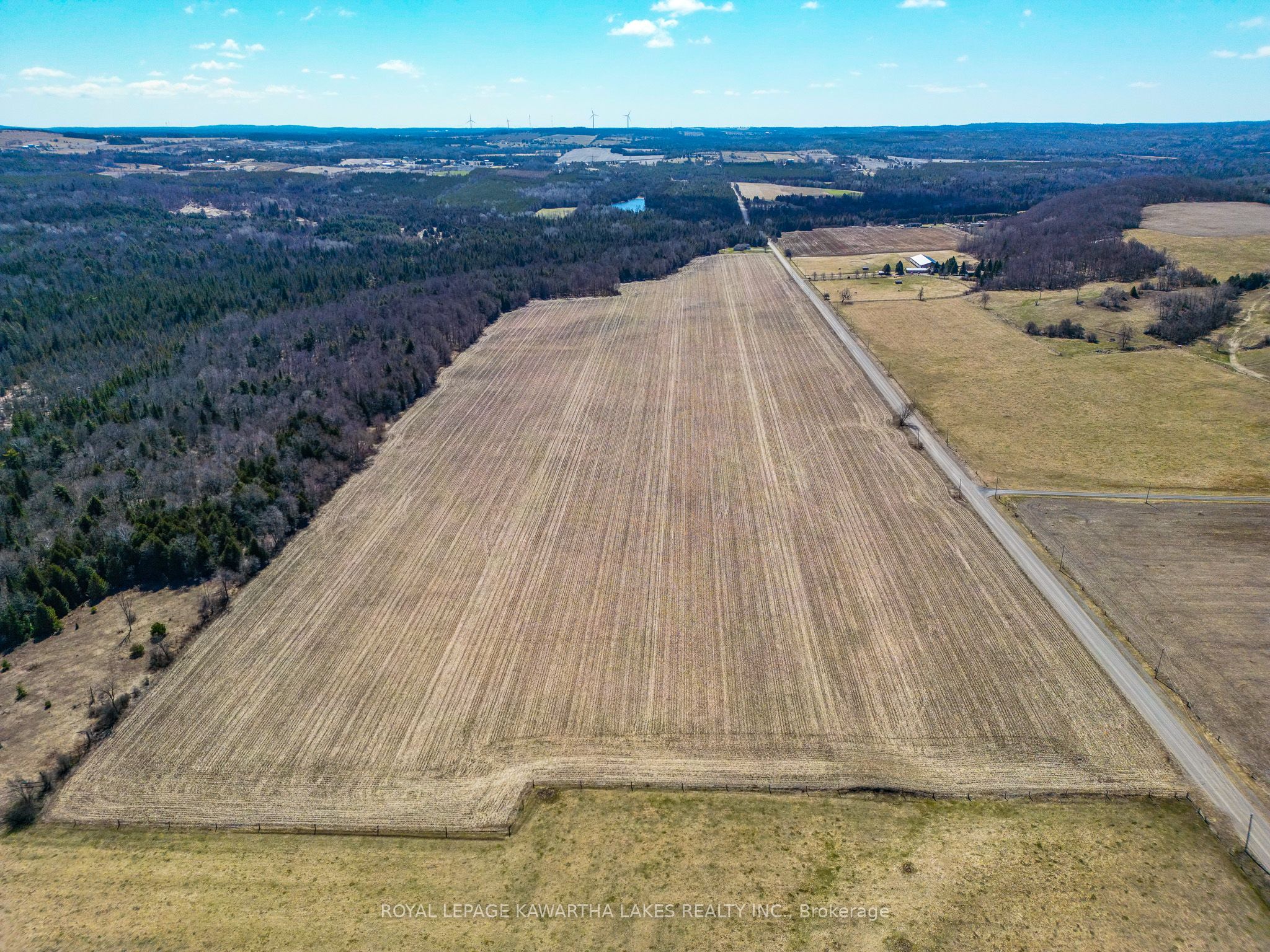 Additional image 6 of Con 7Pt Lot 7 Century Farm Road, Kawartha Lakes, ON, L0B 1K0