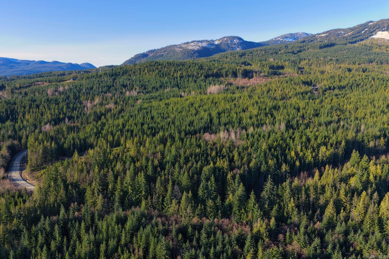 Additional image 3 of LOT B Forbidden Plateau Road, Courtenay, BC, V9J 1L2