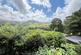 Additional image 23 of Woodlands Holiday Park, Bryncrug LL36