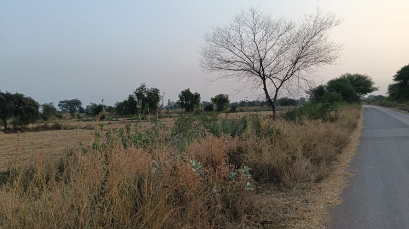 Additional image 2 of Arang, Raipur