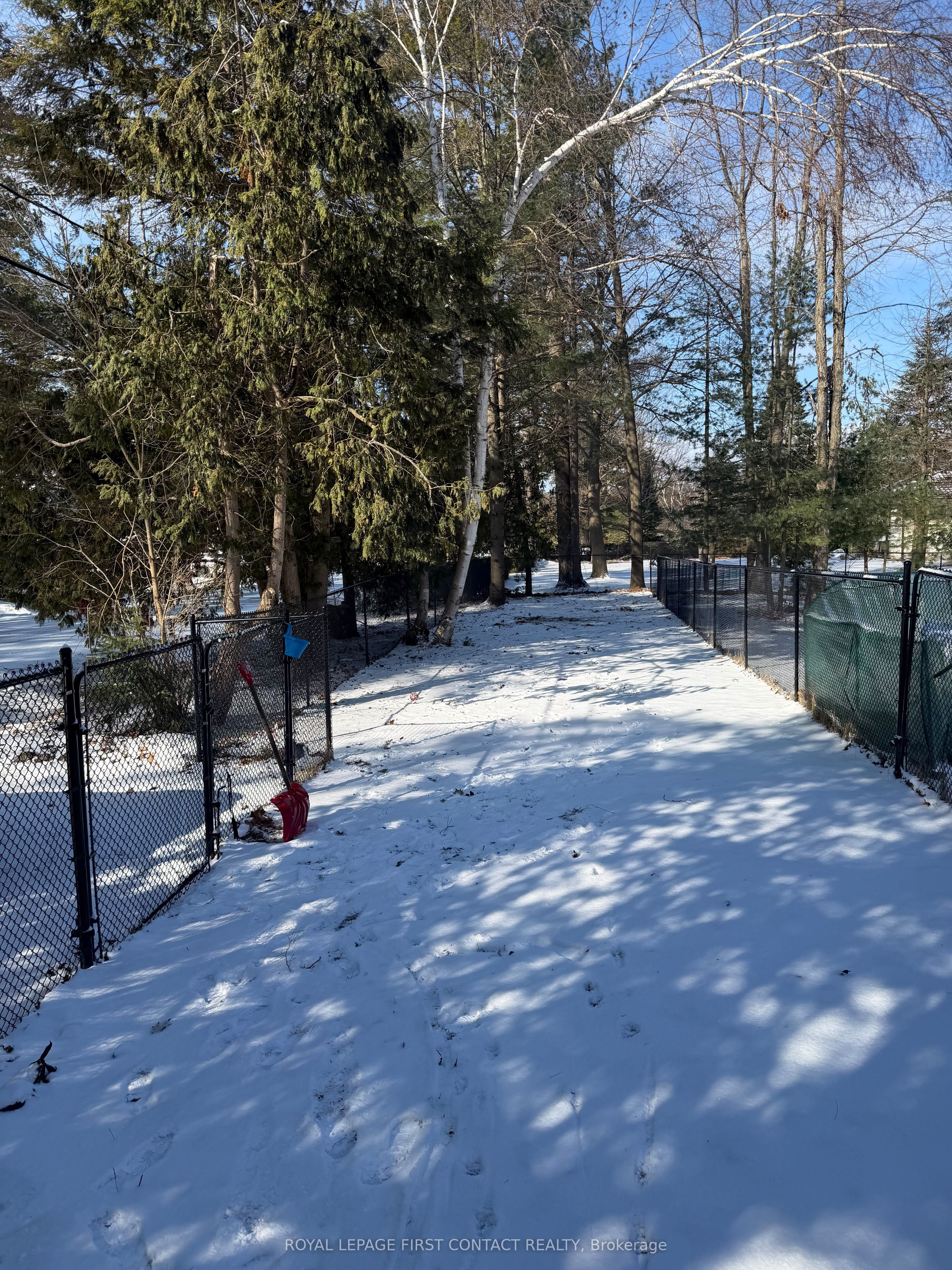 Additional image 3 of Lower-3178 Oak Street, Innisfil, ON, L9S 2K3