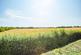 Additional image 17 of Green Lane, Ewell Minnis, Kent, CT15