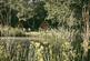 Additional image 61 of Dragons Lane, Leigh Sinton, Malvern