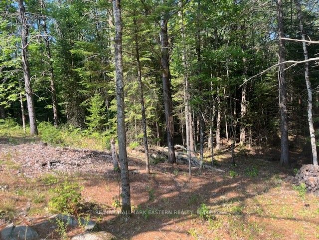Additional image 6 of 942 Balmer Road, North Kawartha, ON, K0L 1A0