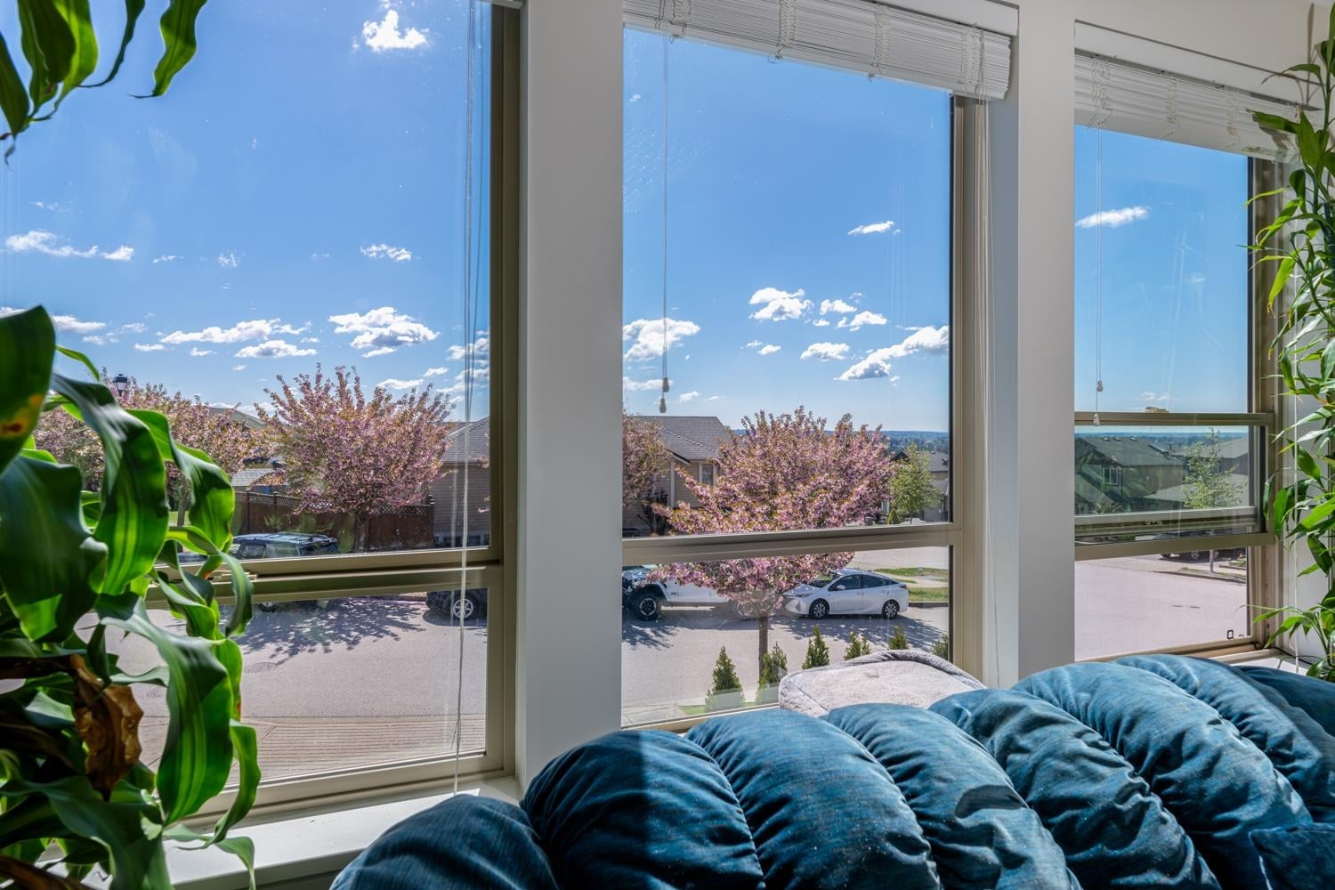 23611 Bryant Drive, Maple Ridge, BC, V4R 0B7