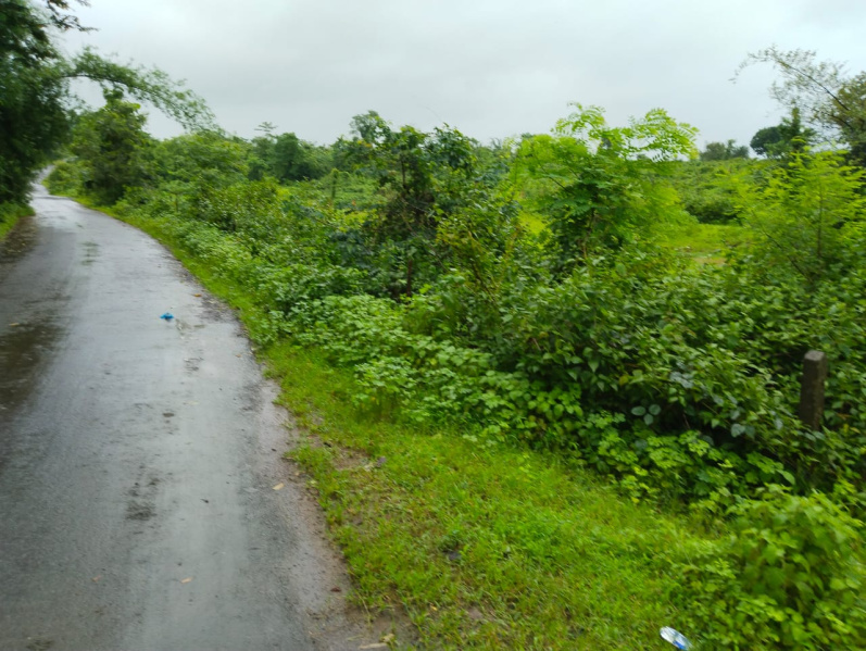 Additional image 2 of Igatpuri, Nashik