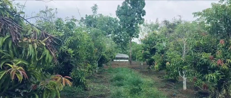Additional image 3 of Wada, Thane