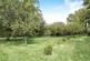 Additional image 14 of Shelley, Ipswich, IP7