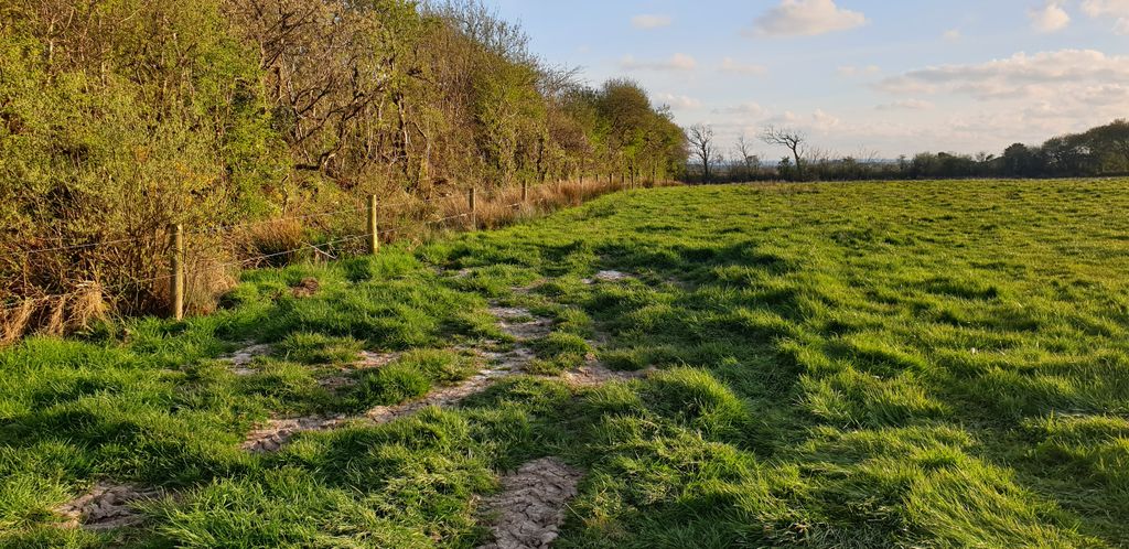 Land for saleHolsworthy EX22 photo 3
