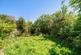 Additional image 14 of Lichfield Road, Northwood, Middlesex