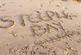 Additional image 17 of Steeple Bay Holiday Park – Essex