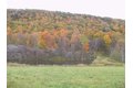 Additional image 47 of 10848 State Route 371, Cohocton, NY, 14826