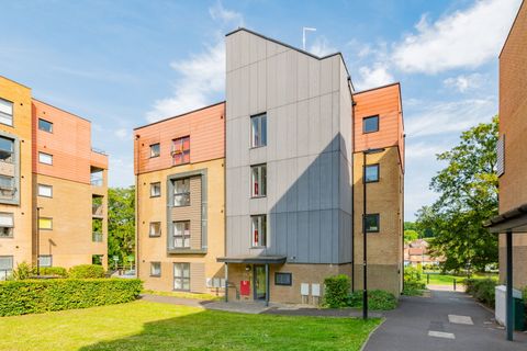 Mansfield Park Street, Southampton SO18