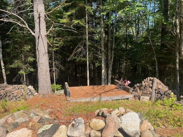 Additional image 5 of 942 Balmer Road, North Kawartha, ON, K0L 1A0