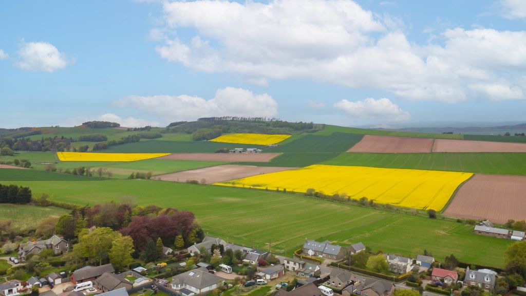 Additional image 31 of 3 bed semi-detached house for saleBlairs Road, Letham, Forfar DD8