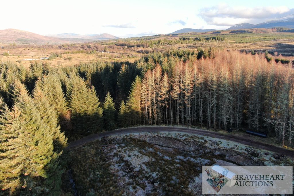 Additional image 14 of Land for saleNorth Face 1, Spean Bridge, Highland PH34
