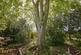 Additional image 17 of One Eyed Lane, Diss IP21