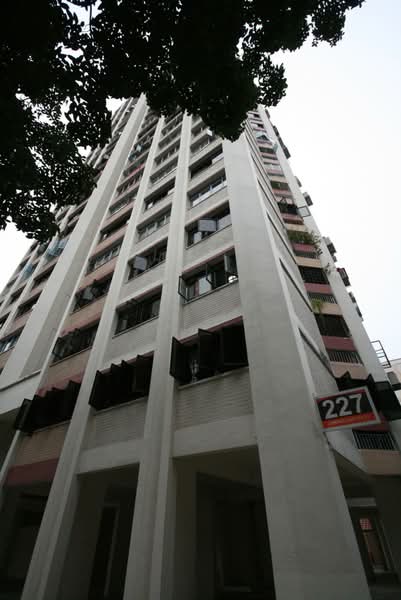 Additional image 16 of 227 Jurong East Street 21