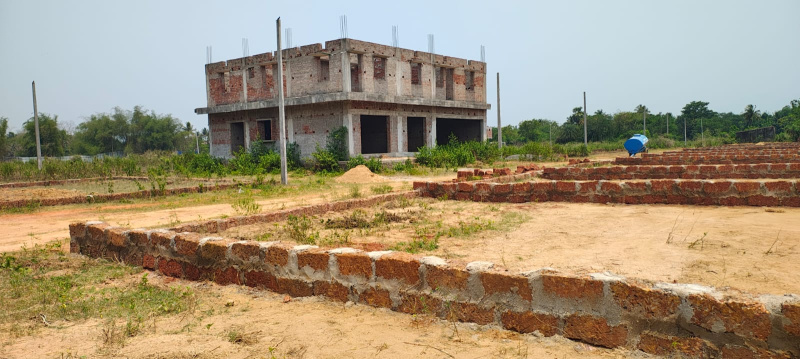 Additional image 3 of Phulnakhara, Bhubaneswar