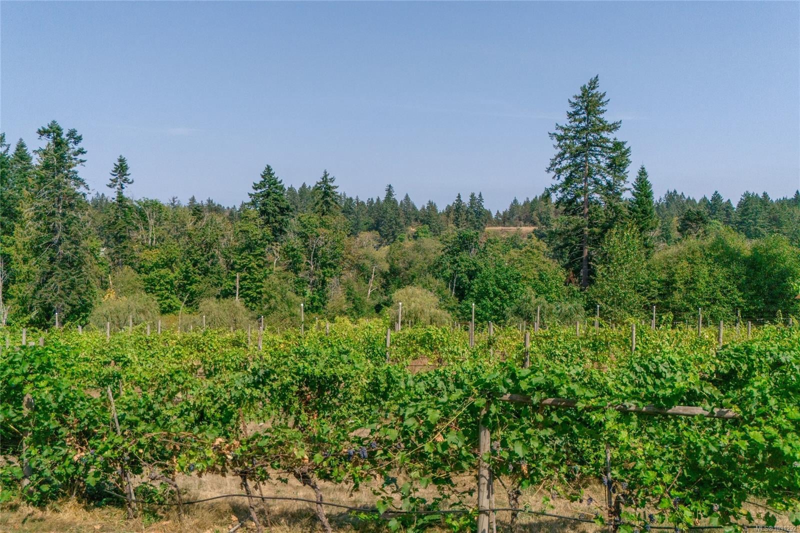 Additional image 3 of 2300 East Wellington Road, Nanaimo, BC, V9R 6V7