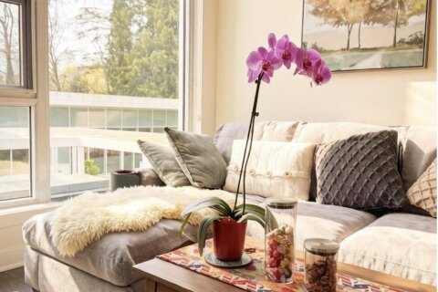 Additional image 7 of 306-595 Austin Avenue, Coquitlam, BC, V3K 0G7